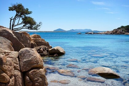 Boat Tour Beaches and Islands La Maddalena Archipelago