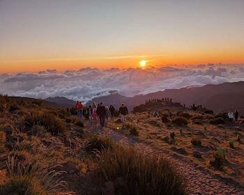 From Funchal: Pico do Arieiro Sunrise & Optional Breakfast