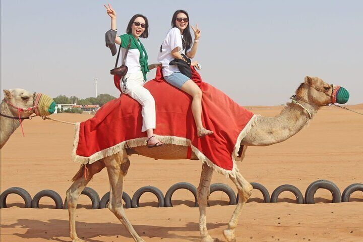 Camel ride