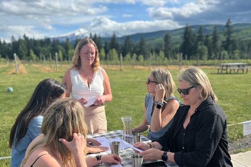 Premium Hood River Wine Tours