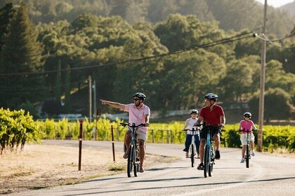 Guided Electric Bike Wine Tour Through Sonoma County