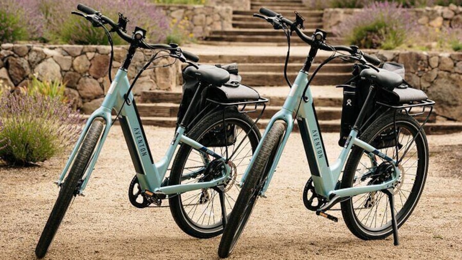 Guided Electric Bike Wine Tour Through Sonoma County
