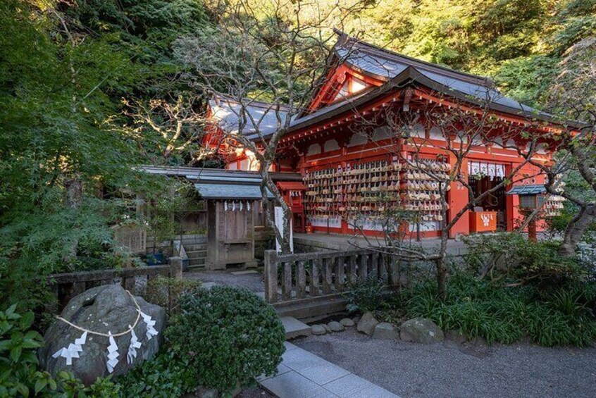 Kamakura 3 hours Guided Cycling Tour (Kamakura Bike Tours)