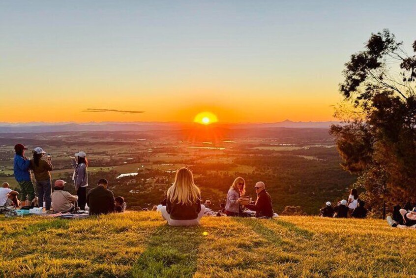 Brisbane: Rainforest Skywalk & Star Gazing with Telescope