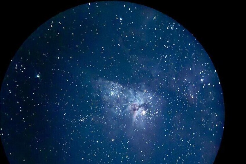 Brisbane: Rainforest Skywalk & Star Gazing with Telescope