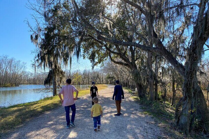 Brazos Bend Wildlife and Nature Tour