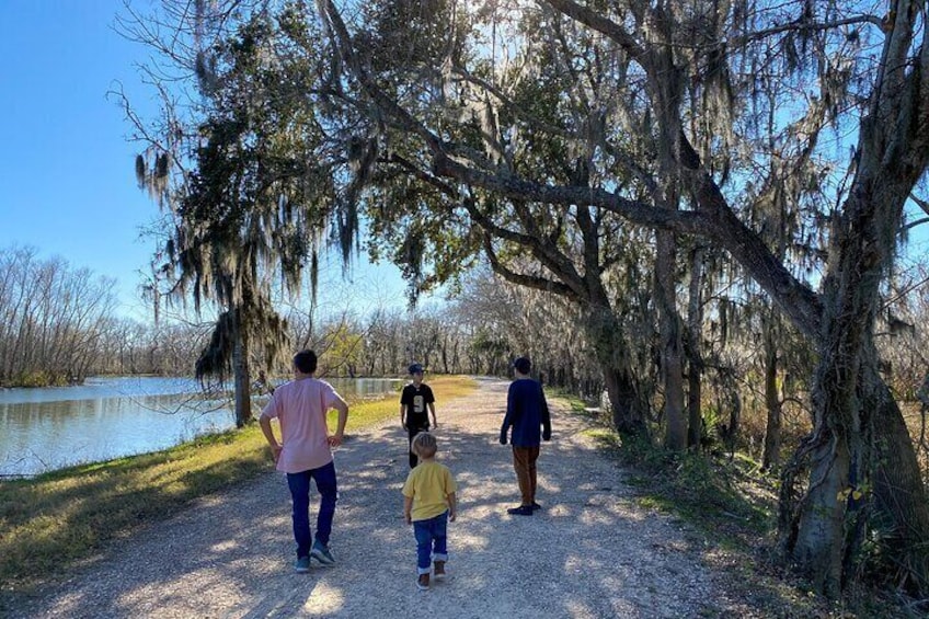 Brazos Bend Wildlife and Nature Tour