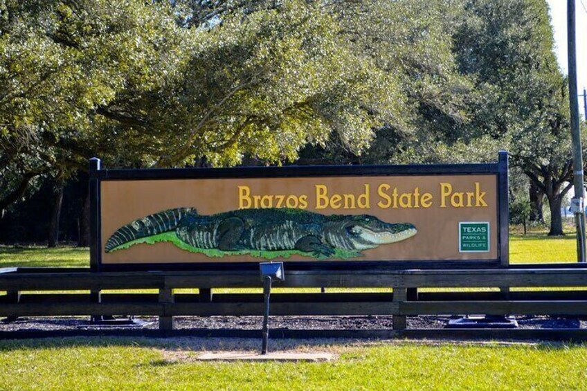 Brazos Bend Wildlife and Nature Tour