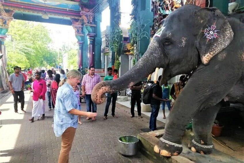 Pondicherry temple