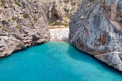 Tour Sa Calobra Torrent de Pareis and Cala Tuent