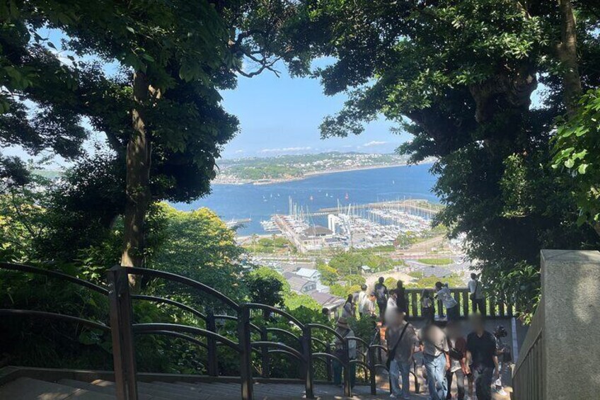 Gourmet Food and Temple Visit tour in Enoshima