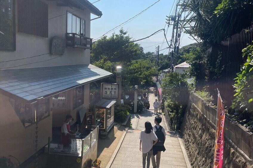 Gourmet Food and Temple Visit tour in Enoshima