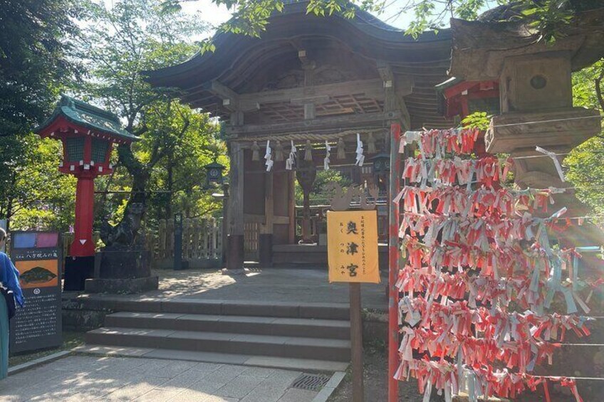 Gourmet Food and Temple Visit tour in Enoshima