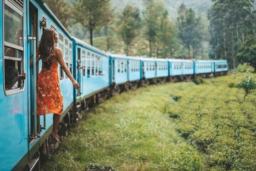 Ella Private Day Tour With Train Ride