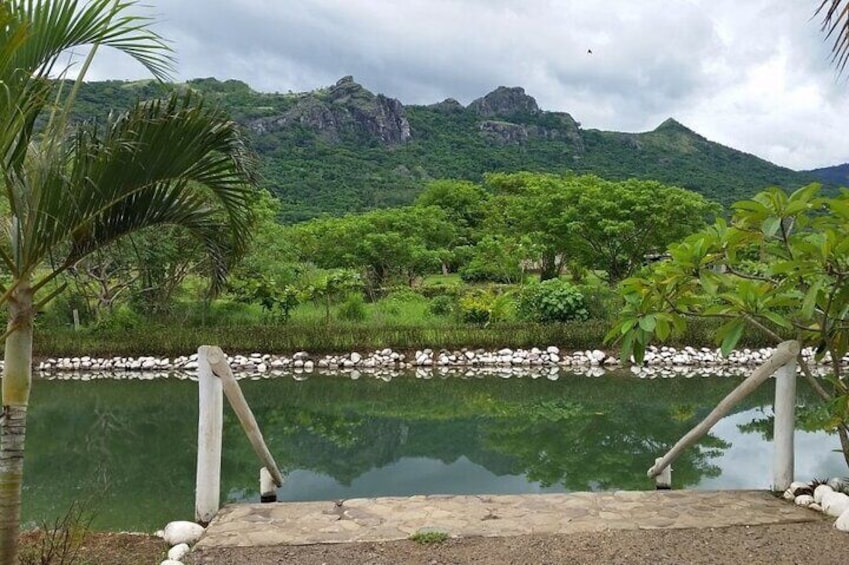 Sabeto Hot Springs and Mud Pool Tour