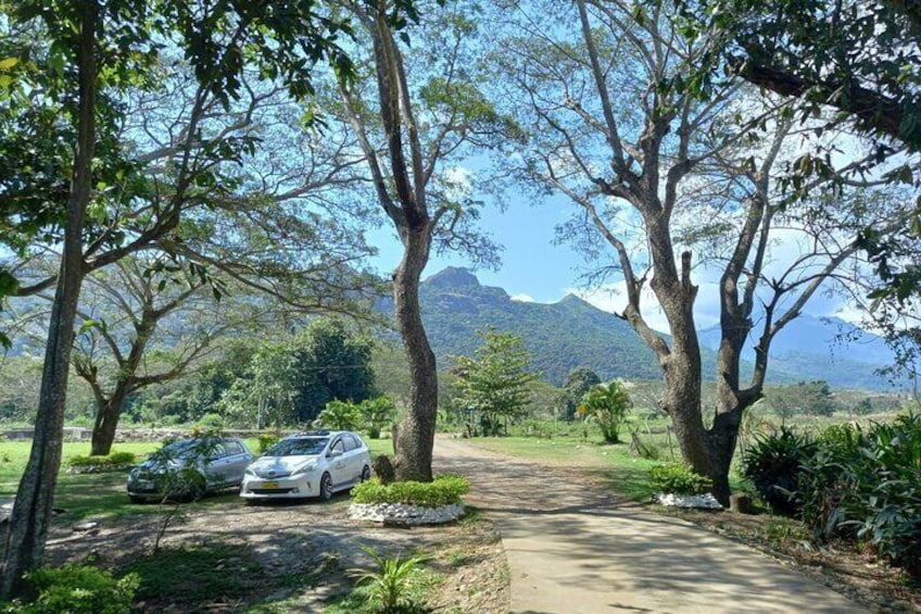 Sabeto Hot Springs and Mud Pool Tour