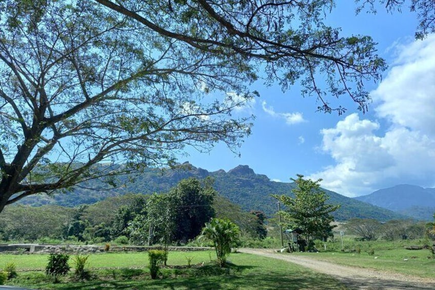 Sabeto Hot Springs and Mud Pool Tour