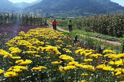 Chiapas: Discover the magic on Bike tour