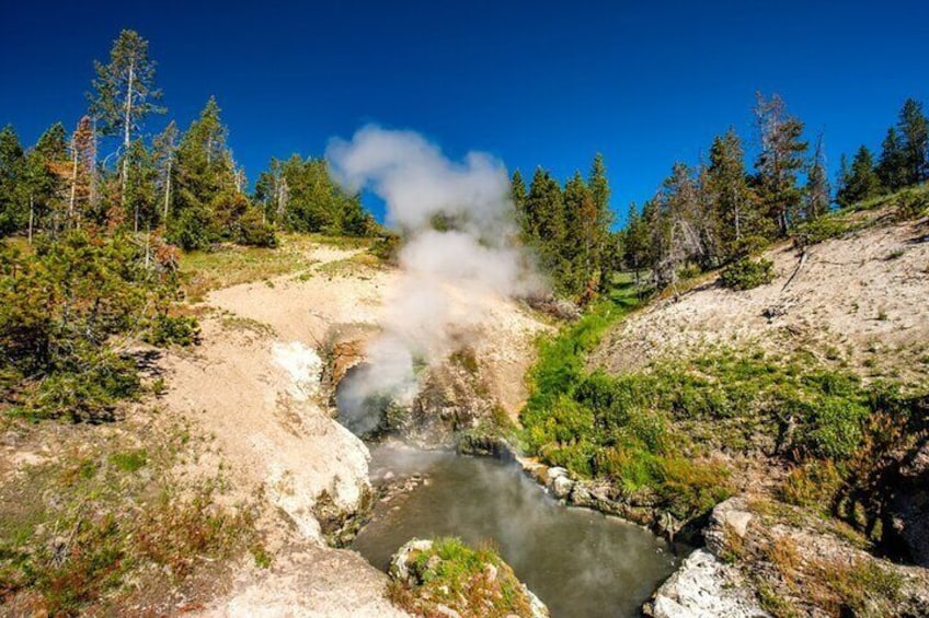 Yellowstone National Park Driving Audio Tour