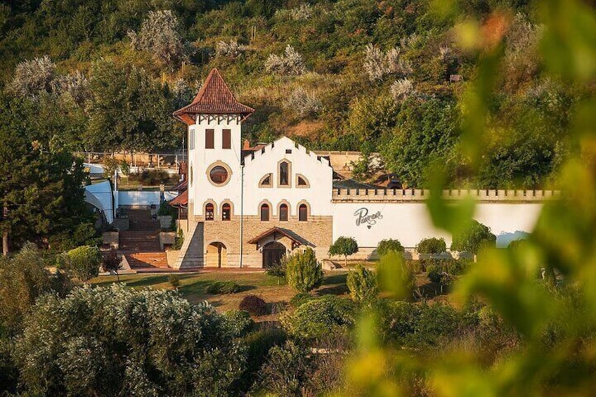 A panoramic view to the winery