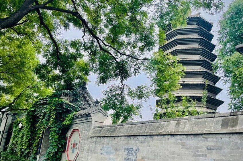 Brunch Tour, Highlights and Hidden Gems of Beijing