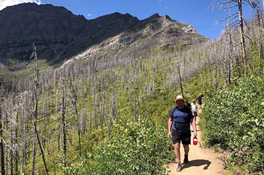 Waterton Bertha Lake Hike