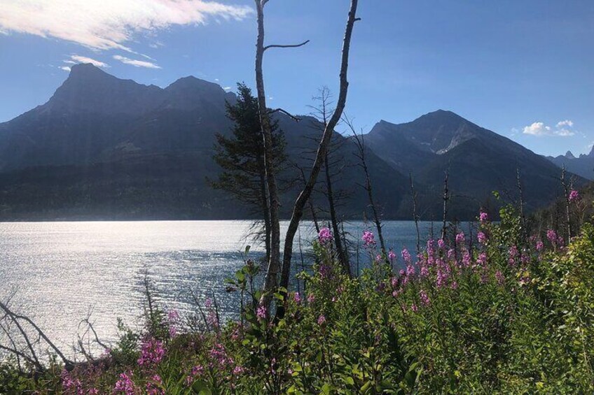 Waterton Bertha Lake Hike