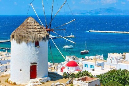 Mykonos Small Group Tour for Cruise Passengers — Port Pickup