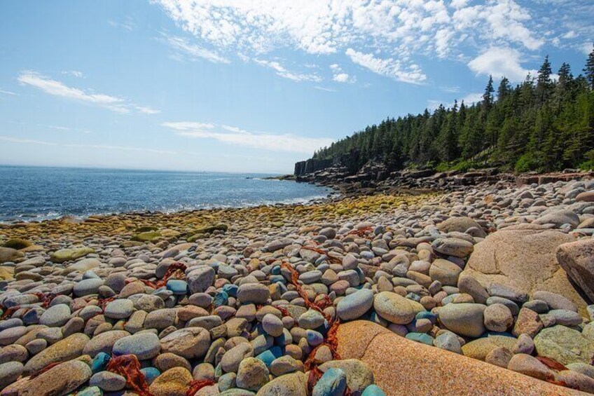 Private Tour Acadia National Park, Fjord 