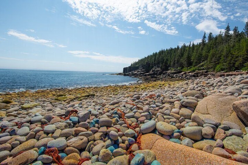 Private Tour Acadia National Park, Fjord