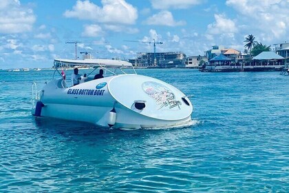 Oculus Glass Bottom Boat Tour