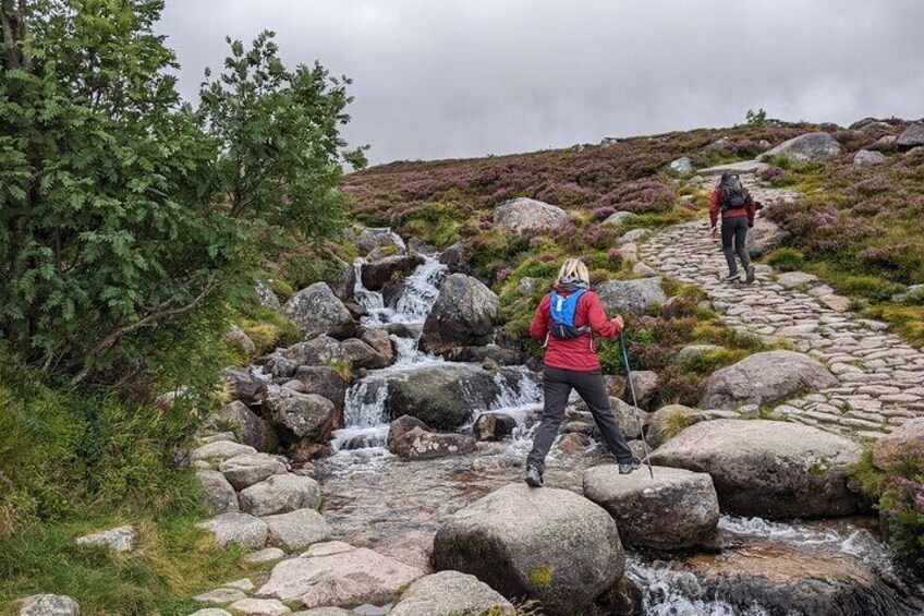 Stepping stones.