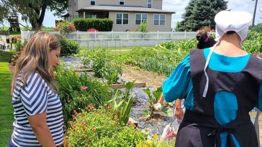 Unique Amish Immersion Experience