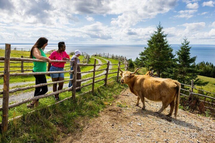 Guided Highland Village and Baddeck Bus Tour for Cruise Excursion