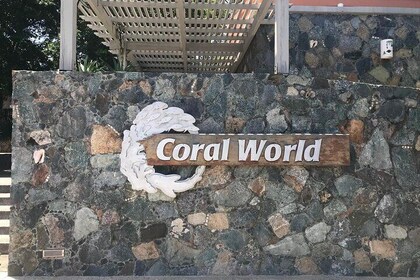 Shop, See, & Coral World Ocean Park