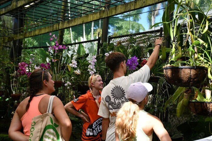 Cairns Explorer Tour