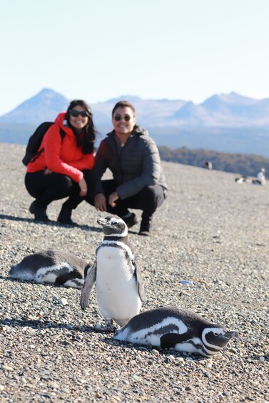 Ushuaia: Beagle Channel Walk among Penguins and Navigation Isla de Lobos