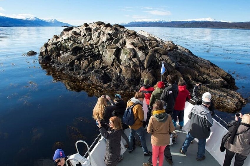 Ushuaia: Beagle Channel Walk among Penguins and Navigation Isla de Lobos