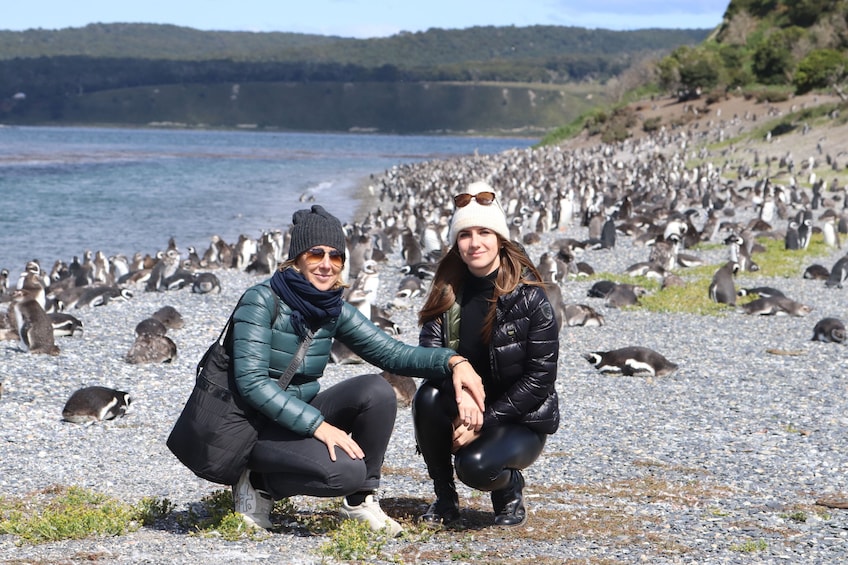 Ushuaia: Beagle Channel Walk among Penguins and Navigation Isla de Lobos