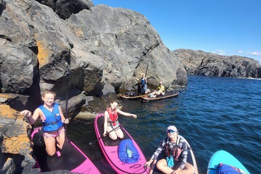 Bring your friends or family and join for a peaceful, sustainable and fun ride along the coast.