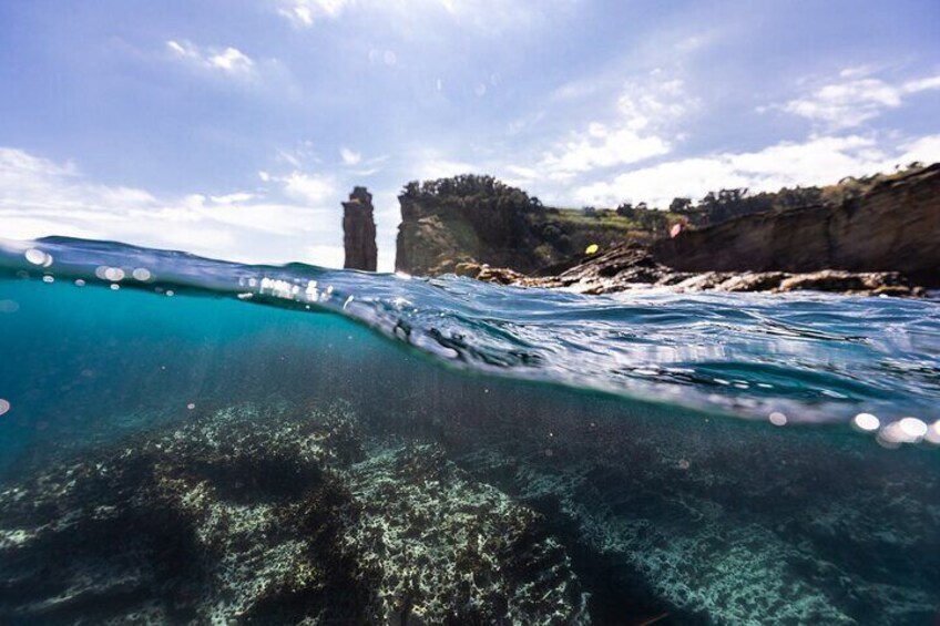 3 Hour Kayak Guided Tour in Islet of Vila Franca Do Campo