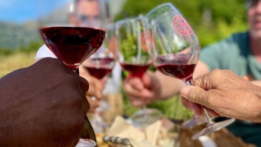 Wine tasting in the vineyard