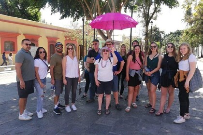 Private Oaxaca City Tour on a budget - Best Rated