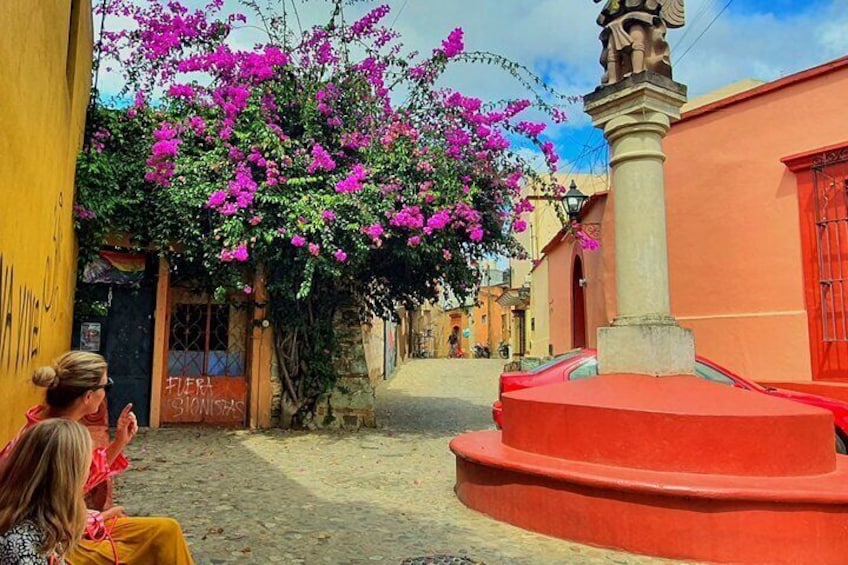 Private Oaxaca City Tour on a budget - Best Rated 