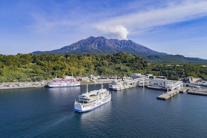 Discover the Wonder of Sakurajima Half Day Tour in Kagoshima