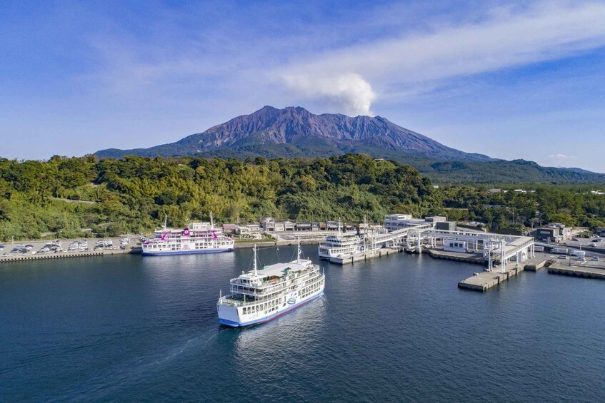 Discover the Wonder of Sakurajima Half Day Tour in Kagoshima