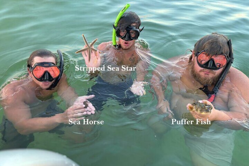The fellas found some amazing marine life! Gentle handling always!