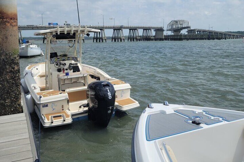 Private Dolphin Boat Tour in Hilton Head Island