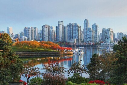 Vibrant Vancouver Expeditions