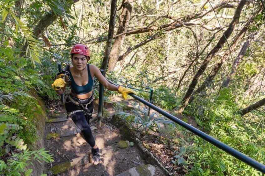 Canopy Los Veranos Zipline